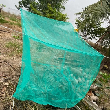 Vèo nuôi cá, tráng nuôi ếch, nuôi ốc có nắp đậy - Nhiều size, mắt lưới 3,5 ly, giá ưu đãi 205.500₫ 6