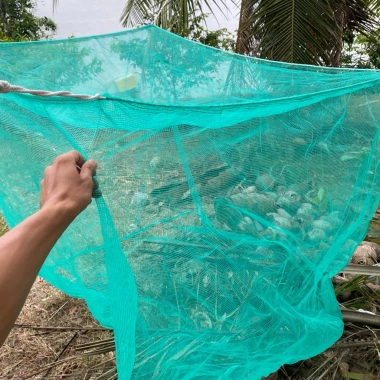 Vèo nuôi cá, tráng nuôi ếch, nuôi ốc có nắp đậy - Nhiều size, mắt lưới 3,5 ly, giá ưu đãi 205.500₫ 7