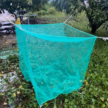 Vèo tráng nuôi cá, nuôi ốc có nắp đậy mắt lưới 4li - nhiều kích cỡ, giá 77.000 VND 4