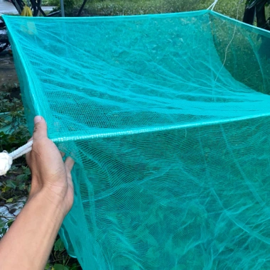 Vèo tráng nuôi cá, nuôi ốc có nắp đậy mắt lưới 4li - nhiều kích cỡ, giá 77.000 VND 5
