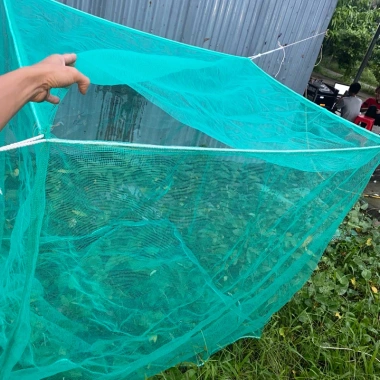 Vèo tráng nuôi cá, nuôi ốc có nắp đậy mắt lưới 4li - nhiều kích cỡ, giá 77.000 VND 7