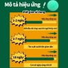 Viên Đuổi Chuột Băng Phiến Siêu Mạnh – Thảo Dược An Toàn, Long Não, Giá 30.500đ (Giá Gốc 38.430đ) 6