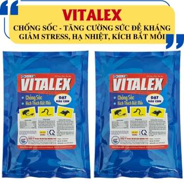 VITALEX - Giảm stress, chống sốc, tăng đề kháng, hỗ trợ bám mỡ, chỉ 175.000đ 2