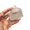Vỏ tai nghe FLAZEA cá vàng – Chống rơi, bụi, trầy xước, kèm dây chuyền, tương thích AirPods 1‑4 & Pro2 9