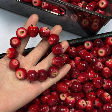 Vòng tay DIY Giáng sinh – Phụ kiện táo đỏ, trái cây trang trí, quà tặng, giá 272k 2 Vòng tay DIY Giáng sinh – Phụ kiện táo đỏ, trái cây trang trí, quà tặng, giá 272k 2
