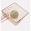 Xẻng Xúc Cát Mèo Size Lớn Thép Không Gỉ - Dọn Siêu Nhanh, Giá 65.000 VNĐ 2
