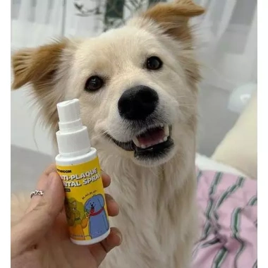 Xịt Nha Khoa PETHROOM 30ml - Chống Đục, Ngừa Hắc & Hôi Miệng Cho Chó Mèo 9