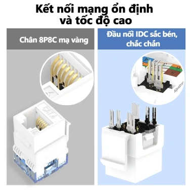 ZoeRax Keystone Jack RJ45 Cat6/Cat5e UTP 180° Thiết kế dây, phù hợp tấm tường - Giá ưu đãi 71.499