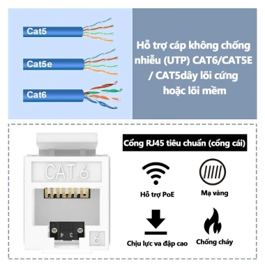 ZoeRax Keystone Jack RJ45 Cat6/Cat5e UTP 180° Thiết kế dây, phù hợp tấm tường - Giá ưu đãi 71.499