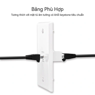 Zoerax RJ45 CAT6 Keystone Coupler Nữ Sang Nữ - Khớp Nối UTP Trắng, 43.560₫ 2