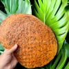 10 bánh đa mè đen cốt dừa tôm khô ớt đặc biệt size 19-22cm giảm còn 37.000đ
