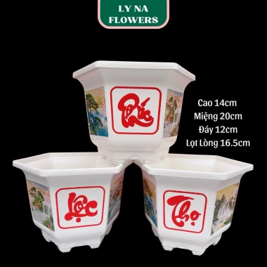 10 Chậu Cây Cảnh Phúc Lộc Thọ Nhựa Vuông - Trang Trí Tết, Bonsai Giả 20x14x12cm Giá Ưu Đãi 60k