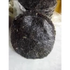 10 chiếc bánh đa đô lương siêu ngon, chỉ 39.000đ, hương vị truyền thống 4
