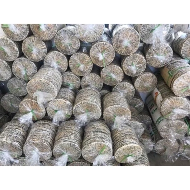 10 chiếc bánh đa đô lương siêu ngon, chỉ 39.000đ, hương vị truyền thống