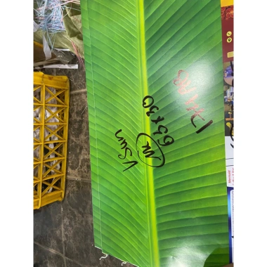 10 Giấy Gói Bánh Chưng, Bánh Tét 63x30cm C150 In 2 Mặt Giống Nhau - 45.000đ 2