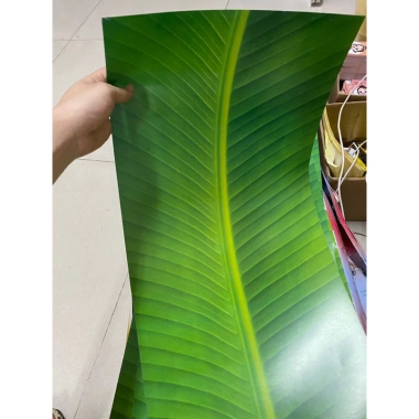 10 Giấy Gói Bánh Chưng, Bánh Tét 63x30cm C150 In 2 Mặt Giống Nhau - 45.000đ 3