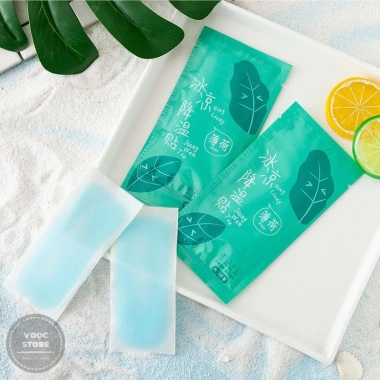 10 Gói Dán Lạnh 2 Miếng - Làm Mát, Chống Say Nắng, Hạ Nhiệt Trời, 39.900đ