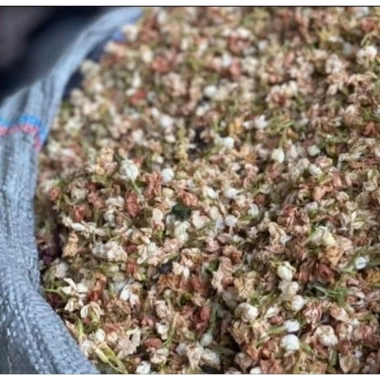 10 Ký Hoa Nhài Khô Thơm Sạch Nụ To - Bao 1, Giá Sỉ Ưu Đãi 330.000 VNĐ