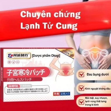 10 Miếng Dán Thảo Mộc Miyakan Nhật - Làm Ấm Tử Cung, Hết Đau Bụng Kinh, Giảm ớn lạnh lưng, Giá ưu đãi 131k