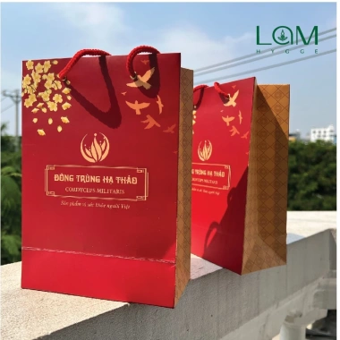 10 túi giấy đựng Đông Trùng Hạ Thảo 20x30x10 - Giá 69.000₫, giảm mạnh, bảo quản an toàn 6 10 túi giấy đựng Đông Trùng Hạ Thảo 20x30x10 - Giá 69.000₫, giảm mạnh, bảo quản an toàn 6