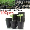 100 Cây Nhựa Vườn Chậu Mầm Non, Hộp Đựng Cây Hoa - Giá 35.446₫, Dễ Trồng & Trang Trí