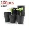 100 Cây Nhựa Vườn Chậu Mầm Non, Hộp Đựng Cây Hoa - Giá 35.446₫, Dễ Trồng & Trang Trí 5