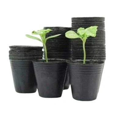 100 Cây Nhựa Vườn Chậu Mầm Non, Hộp Đựng Cây Hoa - Giá 35.446₫, Dễ Trồng & Trang Trí 6