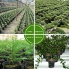 100 Cây Nhựa Vườn Chậu Mầm Non, Hộp Đựng Cây Hoa - Giá 35.446₫, Dễ Trồng & Trang Trí 8
