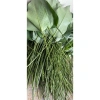 100 Lá Rong Nếp Đặc Biệt 28cm - Giá Ưu Đãi 180.000đ, Chất Lượng Cao, Thơm Ngon, Dễ Sử Dụng 9