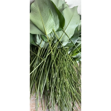 100 Lá Rong Nếp Đặc Biệt 28cm - Giá Ưu Đãi 180.000đ, Chất Lượng Cao, Thơm Ngon, Dễ Sử Dụng 9