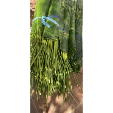 100 Lá Rong Nếp Đặc Biệt 28cm - Giá Ưu Đãi 180.000đ, Chất Lượng Cao, Thơm Ngon, Dễ Sử Dụng 10