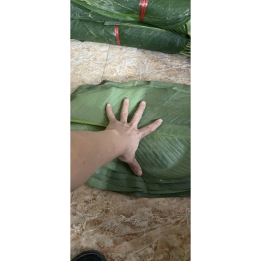 100 nếp lá to đẹp 23-27cm, giá 140.000đ, khuyến mãi, chất lượng cao, dày dặn, thích hợp trang trí 7
