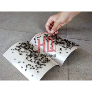 100 Tấm Keo Dính Ruồi Siêu Dính - Diệt Ruồi Muỗi Nhanh, Bảo Vệ Môi Trường 7