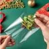 100 Túi OPP Trong Suốt 10x10+3cm Dán Miệng Đựng Bánh Kẹo - Giá 25.000 VND 3
