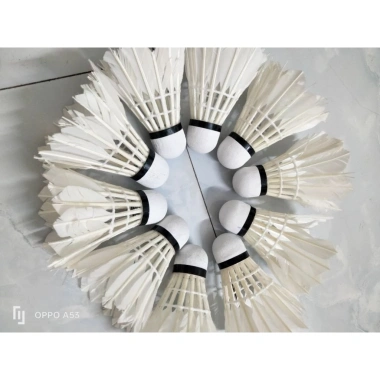 12 Quả Cầu Lông Cũ Giá Ưu Đãi 37.000₫ - Sưu Tập Bóng Cầu Chất Lượng, Giá Rẻ