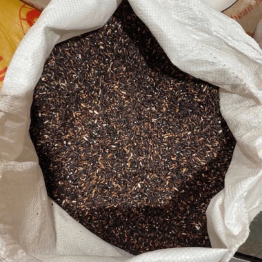 1kg Gạo Nếp Cẩm Điện Biên Nguyên Chất Dẻo Thơm - Dễ Nấu Xôi, Chè, Sữa Chua - Giá Ưu Đãi 25.000 VNĐ