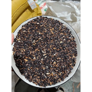 1kg Gạo Nếp Cẩm Điện Biên Nguyên Chất Dẻo Thơm - Dễ Nấu Xôi, Chè, Sữa Chua - Giá Ưu Đãi 25.000 VNĐ