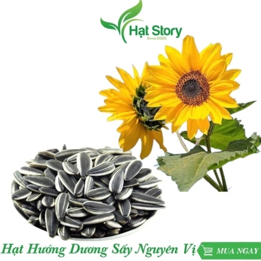 1kg Hạt Hướng Dương Sấy Nguyên Vị Nhập Khẩu - Hạt To, Ngon, Giá Giảm 59k