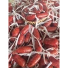 1KG Lạp Xưởng Thiên Phúc Đặc Sản Cai Lậy Nóng Ra Lò Hàng Ngày – Giá Ưu Đãi 140.420₫ Không Kèm Quà 3