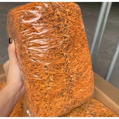 1KG Ngang ĐẹpĐông Trùng Hạ Thảo Khô - Sức Khỏe Tăng Cường, Giá Ưu Đãi 220k