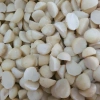 1kg Nhân Hạt Macca Đăk Lak Bể 2 Dùng - Dùng làm bánh, sữa - Giá ưu đãi 249k 2