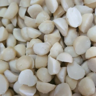 1kg Nhân Hạt Macca Đăk Lak Bể 2 Dùng - Dùng làm bánh, sữa - Giá ưu đãi 249k