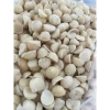 1kg Nhân Hạt Macca Đăk Lak Bể 2 Dùng - Dùng làm bánh, sữa - Giá ưu đãi 249k 5