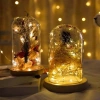 2 Dây Đèn Led Đom Đóm Nhấp Nháy Vàng Nắng Fairylight Pin U080 Trang Trí Tháp Tết Bó Hoa Tiểu Cảnh - Giá 12.000 VND 3
