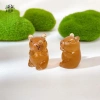 2 Đèn Dạ Quang Capybara Nhựa Phát Sáng Ban Đêm - Trang Trí Sân Vườn & Bàn Làm Việc 9