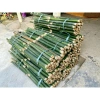 2 ống cây Giang tươi lạt gói bánh, chẻ tăm - Giá chỉ 10.000đ, giảm từ 13.000đ, tươi ngon, tiện lợi cho bữa tiệc