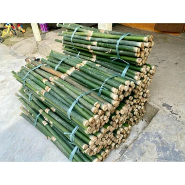 2 ống cây Giang tươi lạt gói bánh, chẻ tăm - Giá chỉ 10.000đ, giảm từ 13.000đ, tươi ngon, tiện lợi cho bữa tiệc
