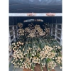 2 ống cây Giang tươi lạt gói bánh, chẻ tăm - Giá chỉ 10.000đ, giảm từ 13.000đ, tươi ngon, tiện lợi cho bữa tiệc 3
