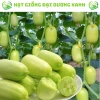 20 hạt giống dưa leo ngọc nữ tặng kèm phân bón, giá 9.800đ, trồng dễ, thu hoạch nhanh 2