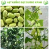 20 hạt giống dưa leo ngọc nữ tặng kèm phân bón, giá 9.800đ, trồng dễ, thu hoạch nhanh 4